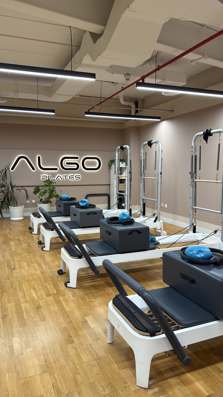 Algo Pilates Studio Motor City &mdash; Motor City Dubai
