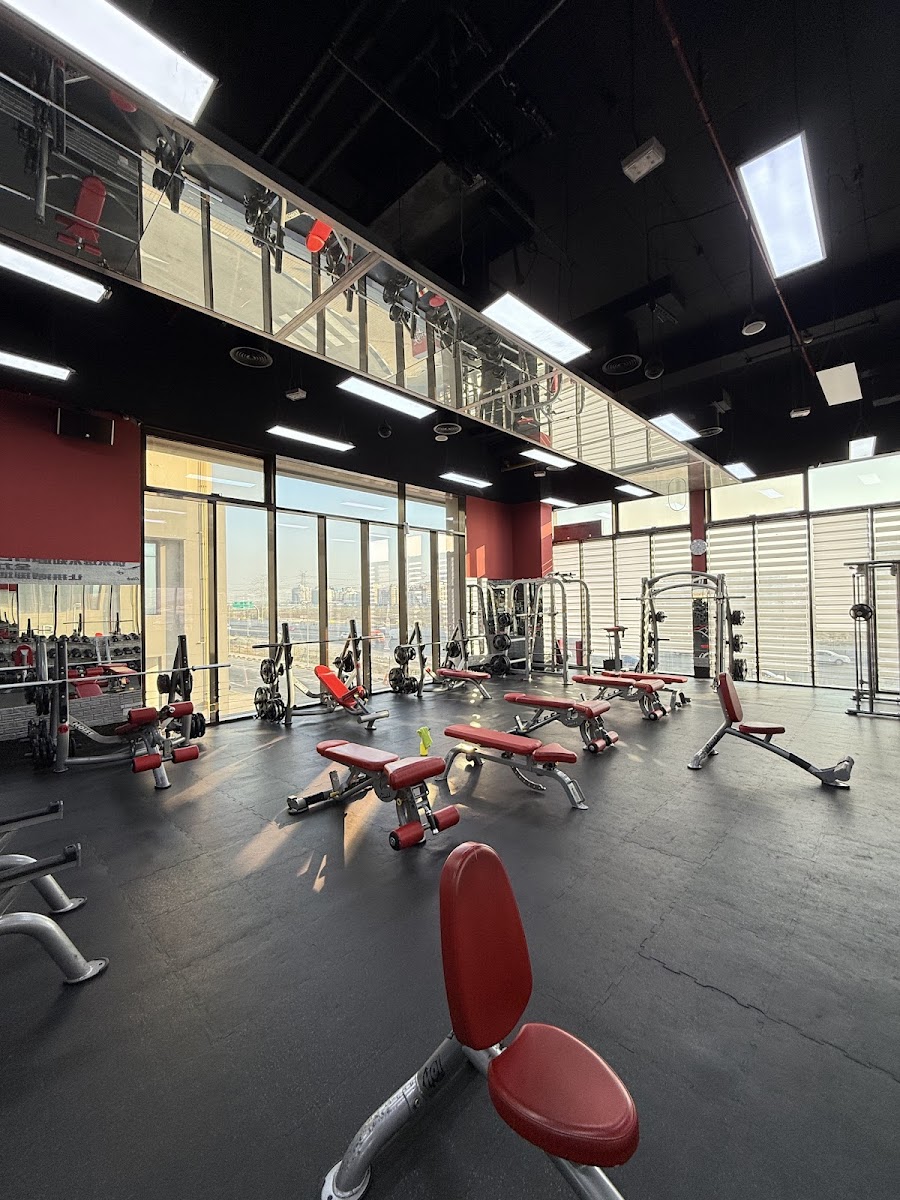 Crony Fitness &mdash; International City Dubai