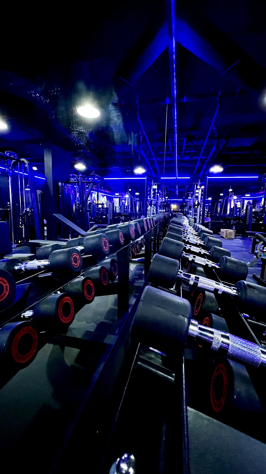 F7 Fitness &mdash; Al Barsha Dubai