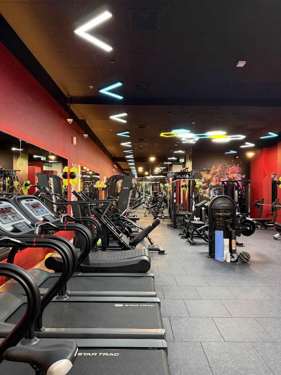 FLEX NATION GYM &mdash; International City Dubai