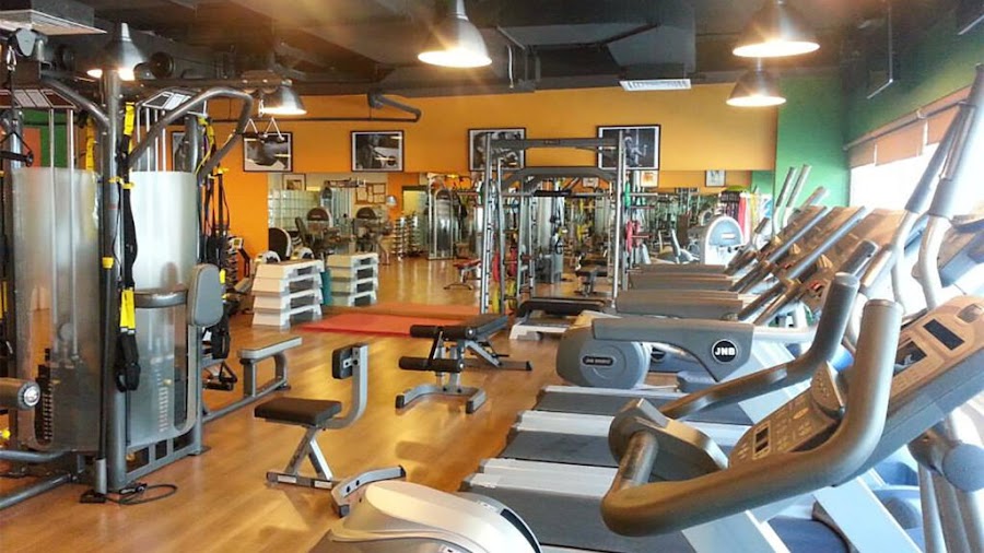 In Shape Ladies Fitness Club &mdash; Al Quoz Dubai