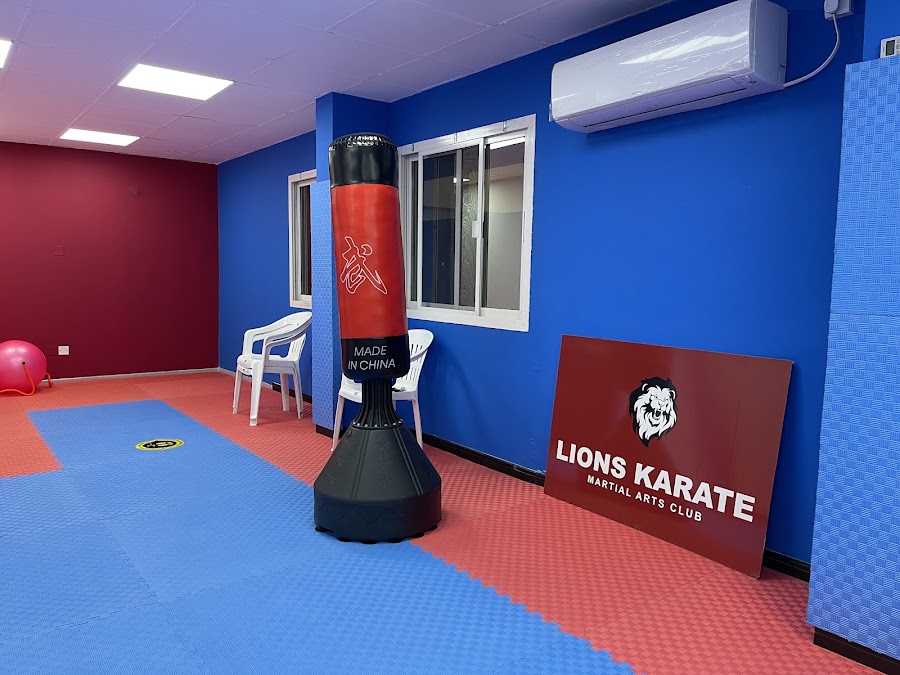 Lions Karate Martial Arts Club - Karama &mdash; Bur Dubai Dubai