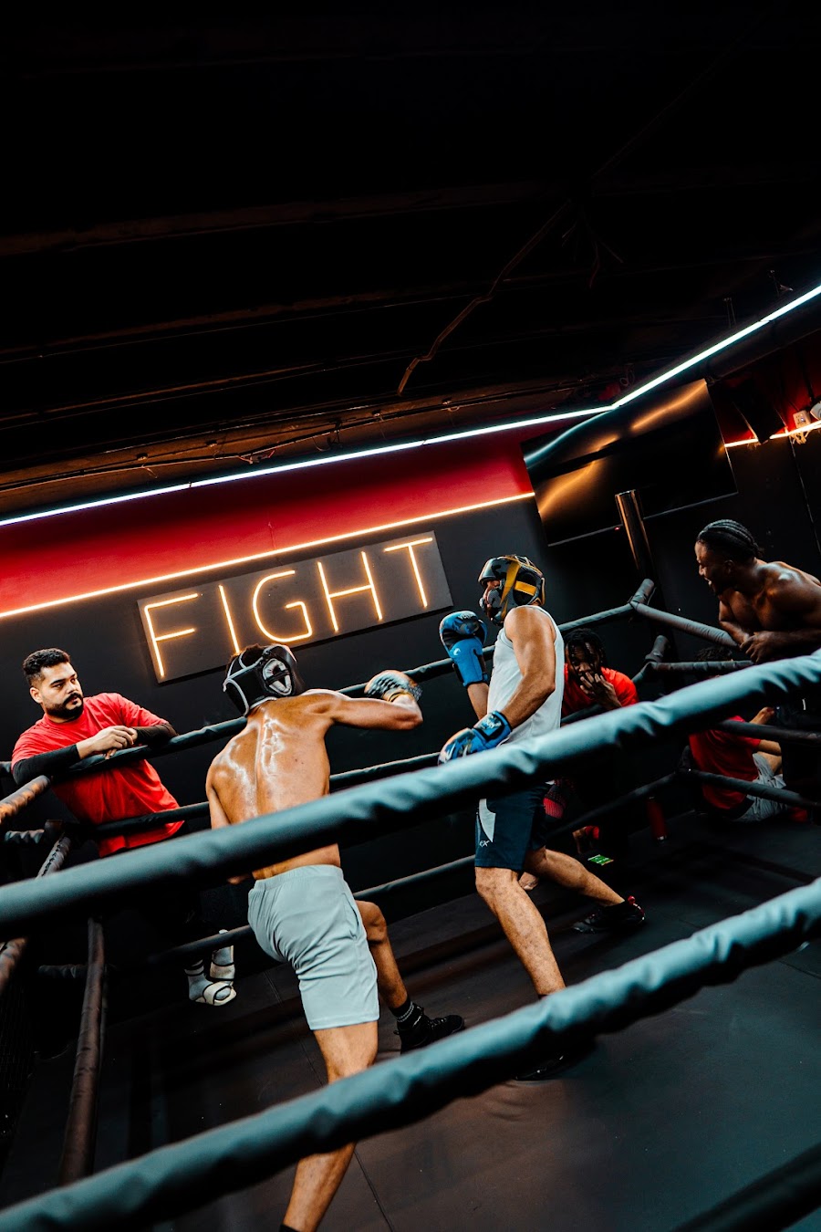Muscle Mania Fitness Gym LLC &mdash; Deira Dubai