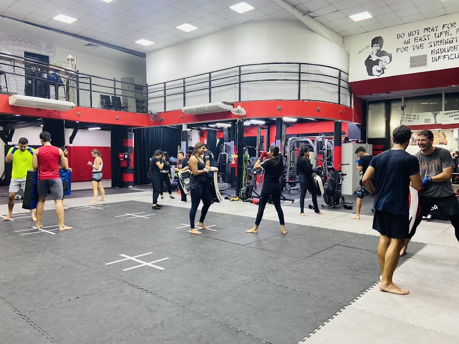 Ringside gym al quoz &mdash; Al Quoz Dubai