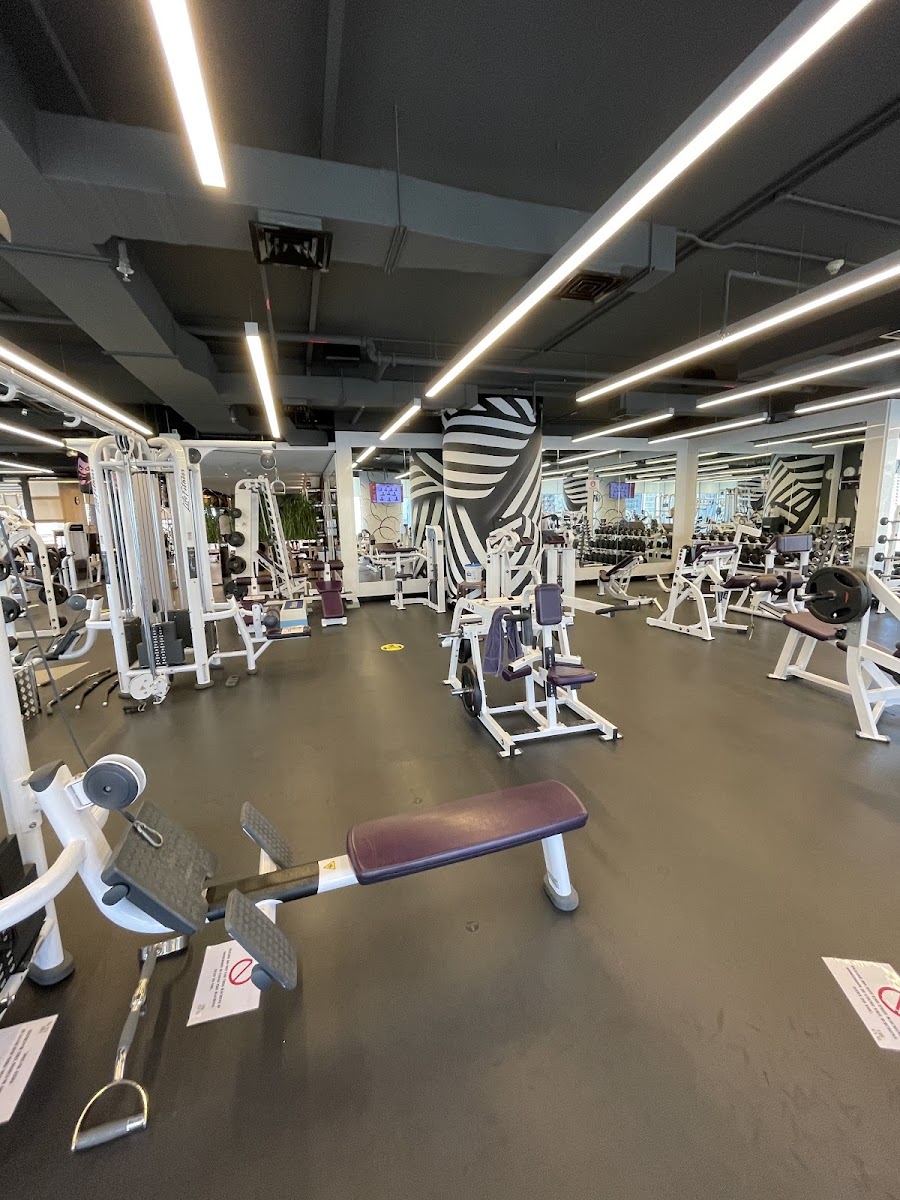 The Gym Dubai &mdash; Business Bay Dubai