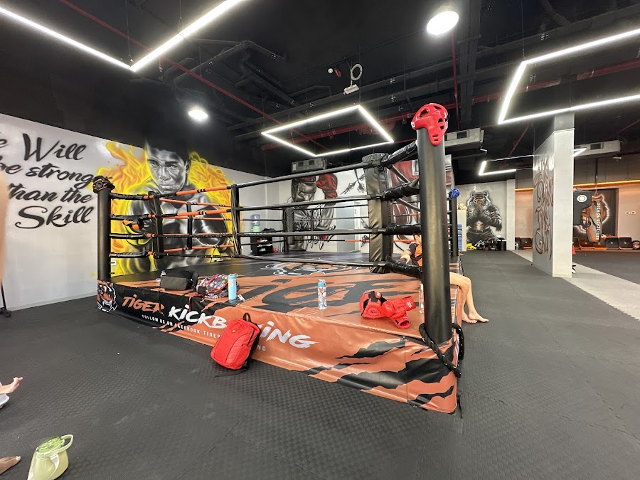 Tiger Kickboxing Arjan &mdash; Motor City Dubai