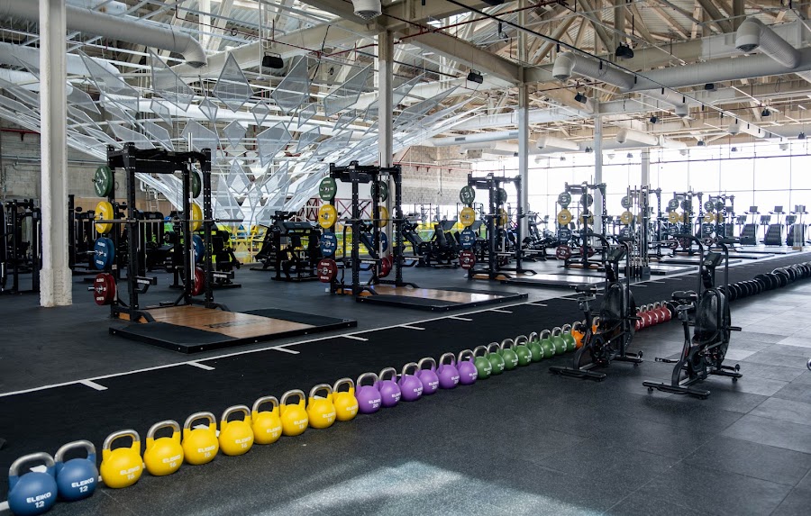 Warehouse Gym - Dubai Science Park &mdash; Motor City Dubai