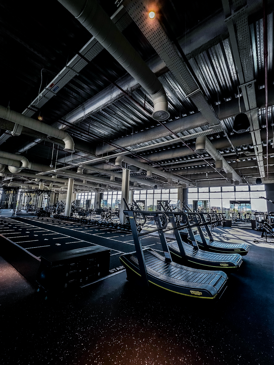 Warehouse Gym - Jumeirah Park &mdash; JBR Dubai